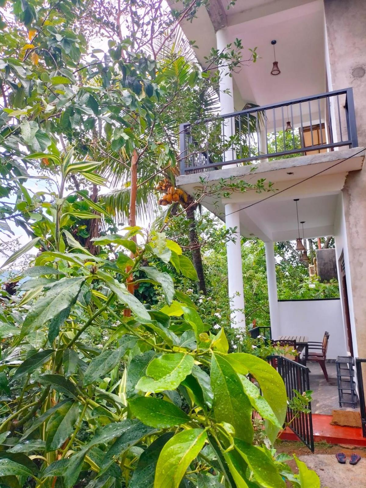 Ella Cloud Castle Homestay Exterior photo